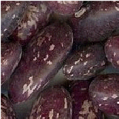pskb purple speckled kidney beans